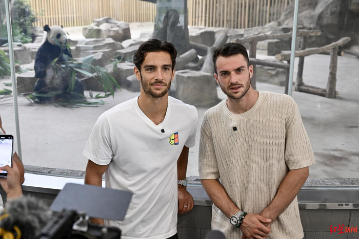 媒体和球迷 媒体和球迷