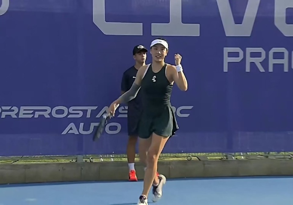 仅展示了马 仅展示了马