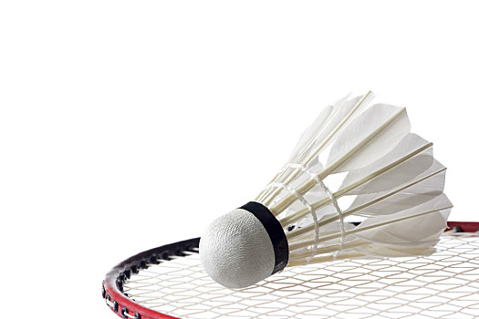 出可能会重 出可能会重