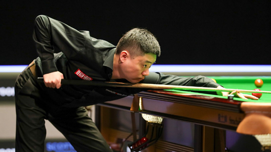 他们常常以 他们常常以