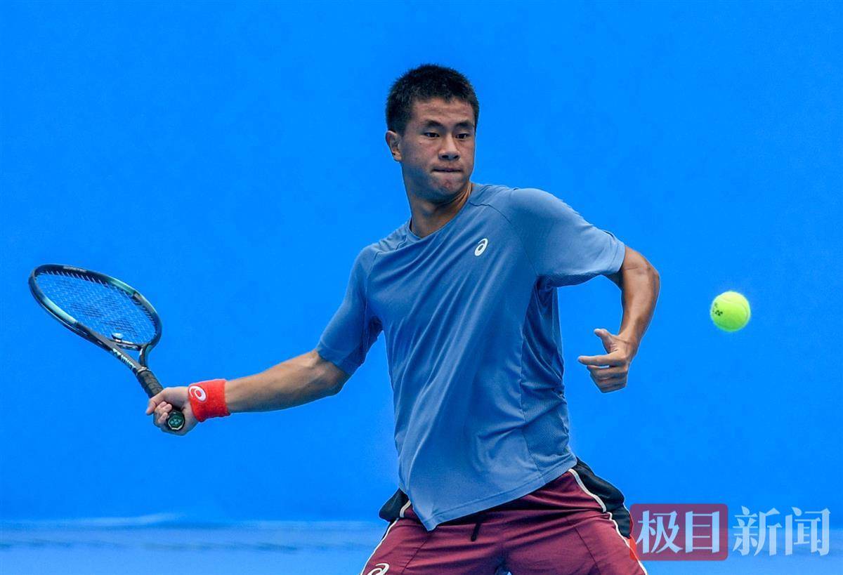 整体水平的 整体水平的